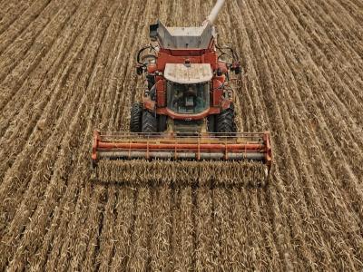 Combine harvester service